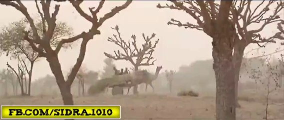 Police slapped by woman