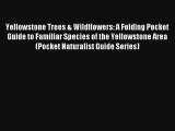 Yellowstone Trees & Wildflowers: A Folding Pocket Guide to Familiar Species of the Yellowstone