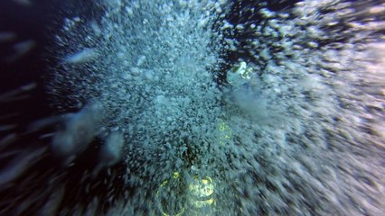 LE DONATOR  27 SEPT 2015