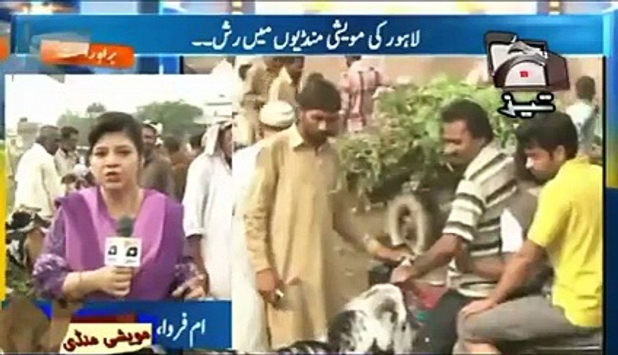 bakra eid funny