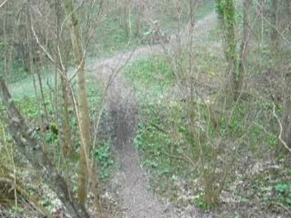 julien ds les bois avk sa kx 125