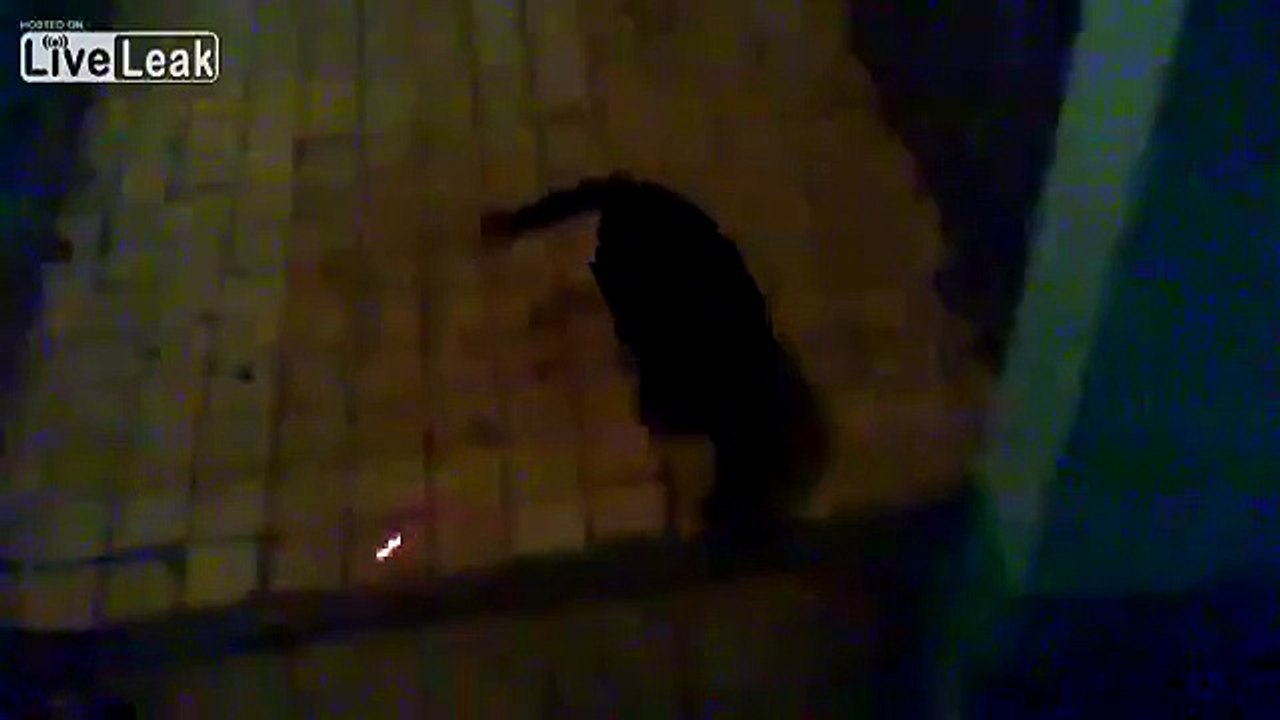 LiveLeak.com - How to get rid of a cat