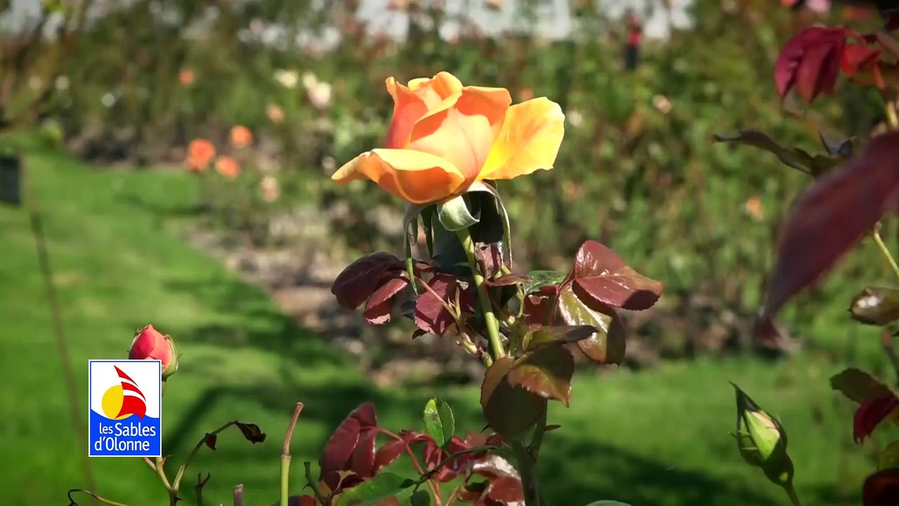 Journées européennes du Patrimoine