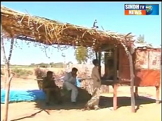 sindhtv news documentary Special Report Patewalan Jo Goth