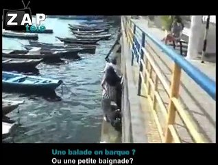 Le zapping du net du 28 octobre 2011