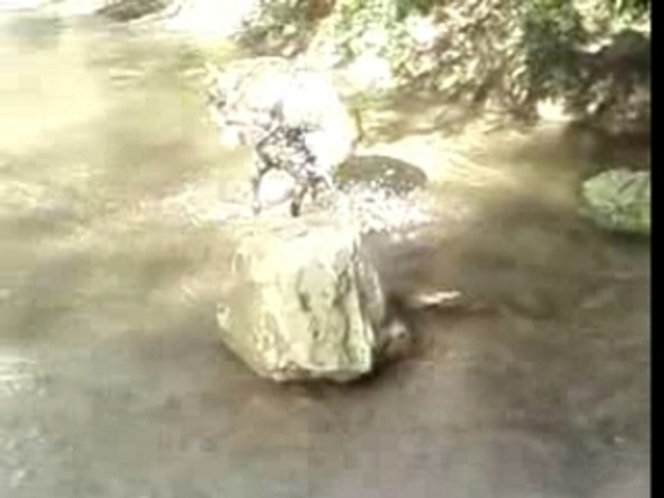 Bosko é bouba ballade a létan 2