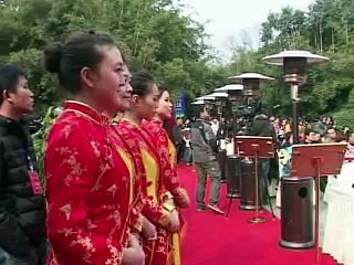 "Rondouillard" et "Joyeuse",  les  pandas prêtés par la Chine atterrissent à Paris