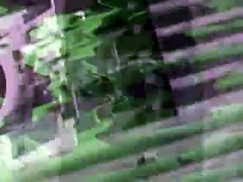 Banque mondiale: un Américain et deux émergents candidats à la présidence