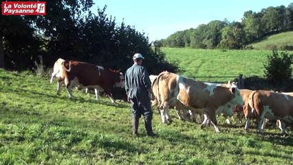 AOP Laguiole : le Grand Aubrac au sommet (1)