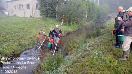 Saint-Symphorien-de-Marmagne - pêche électrique FDP71 20150924