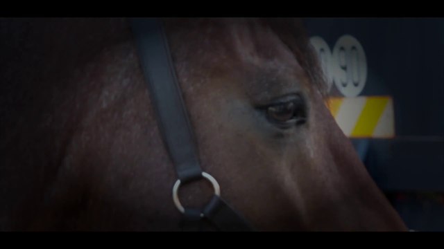 Concours CSO écuries epona