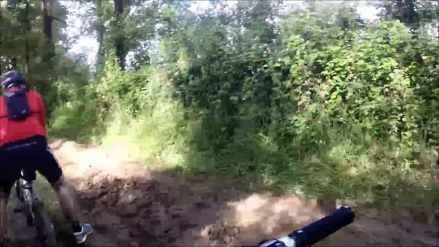 Chaillé Sous les Ormeaux 2015