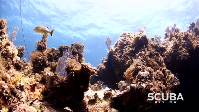 Aboard Blackbeard Cruises: Madison Avenue - Scuba Diving