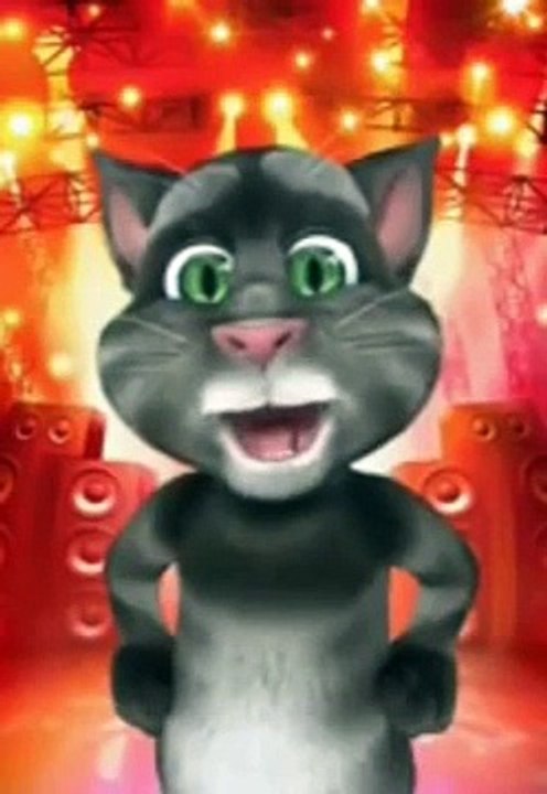 Funny punjabi tom cat