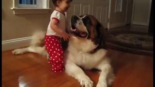 This baby girl hugging a Saint Bernard is the cutest thing you’ll see all day!