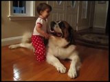 This baby girl hugging a Saint Bernard is the cutest thing you’ll see all day!