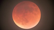 Espectacular: La Superluna como no la habías visto antes