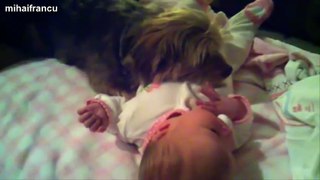 Best Of Funny Cats And Dogs Protecting Babies Compilation 2014 [NEW]