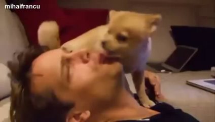 Cutest Puppies Howling Compilation 2014 [NEW]