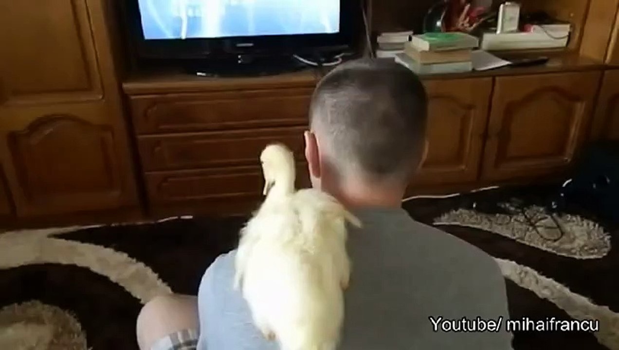 Duckling and me watching TV