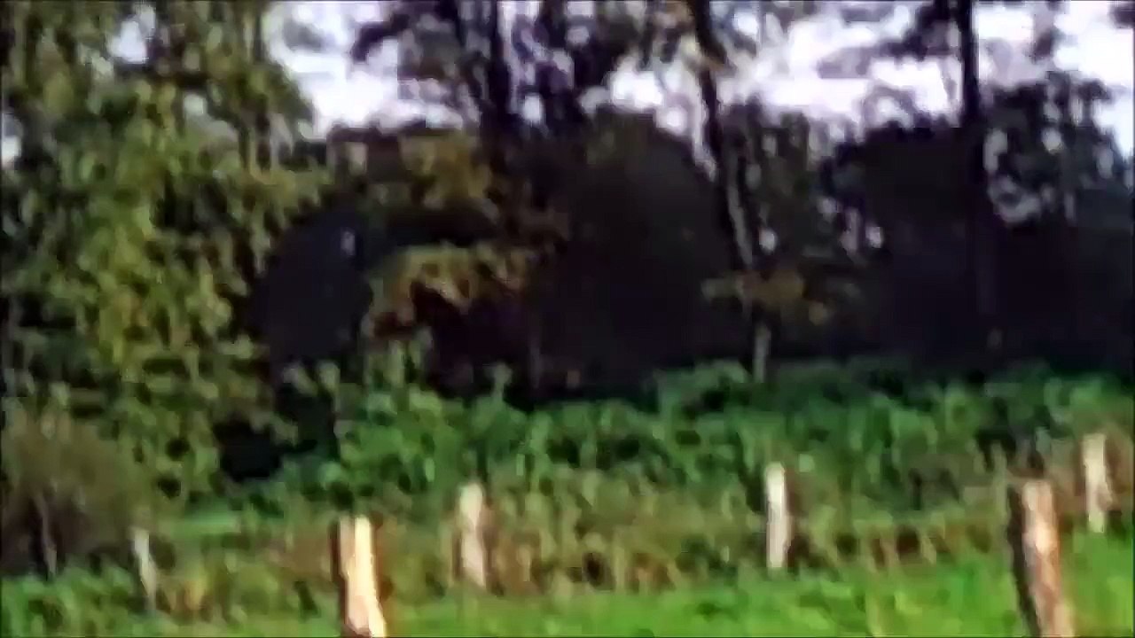 Pinneberg September 2015 - Funkturmsee _Full Film_Ganzer Film_Complete Movie