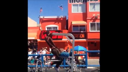 Insane workout.. This guy is a monster!!!