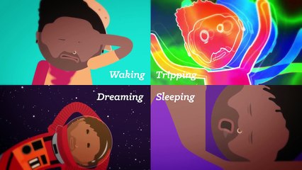 Consciousness - Psychology #8