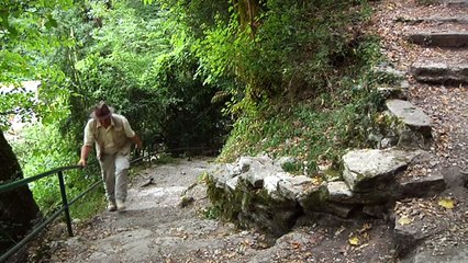 C'EST PAS MAL CHEZ VOUS - SASSENAGE