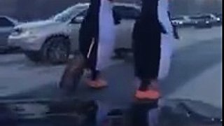 Just some Penguins crossing the road with a suitcase...