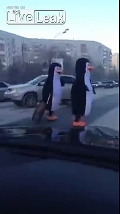 Just some Penguins crossing the road with a suitcase...