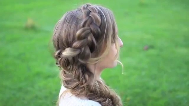 How to Dutch Braid and Fishtail Braid Tutorial
