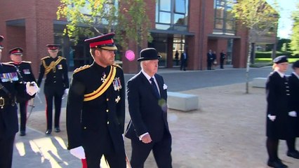 Parade participant wipes out in Prince Harry parade