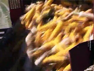 Podsticaji za investicije u primarnu poljoprivrdnu proizvodnju, 28. septembar 2015. (RTV Bor)