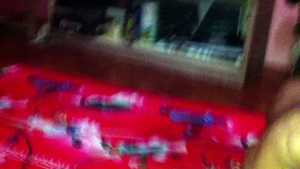 LUCU BANGET - KUCING MAIN BOLA