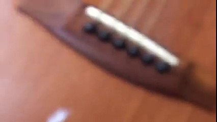 (Revenge of the cats) kedinin intikamı