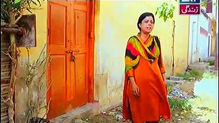 Behnein Aisi Bhi Hoti Hain Episode 302 Full on Ary Zindagi