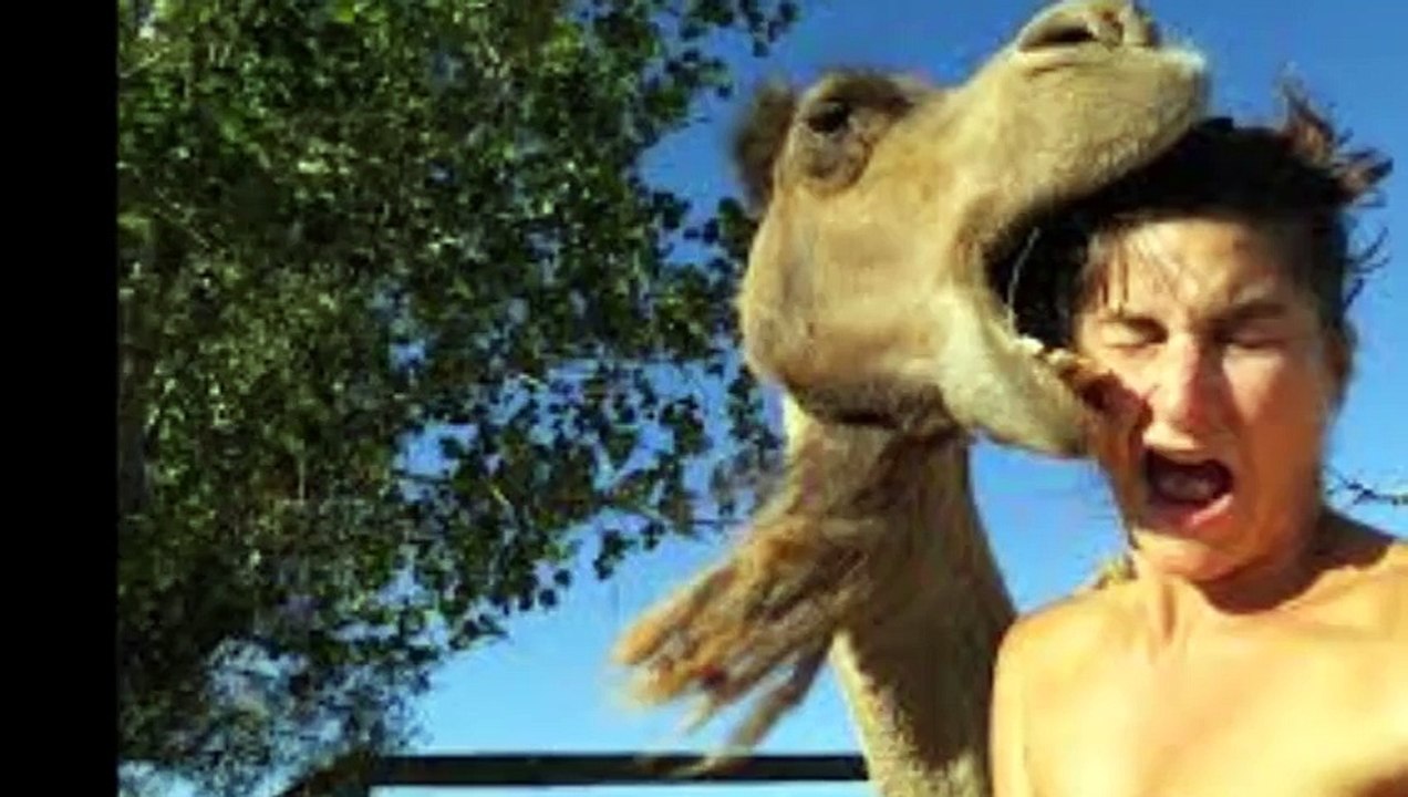 selfies gone horribly  wrong