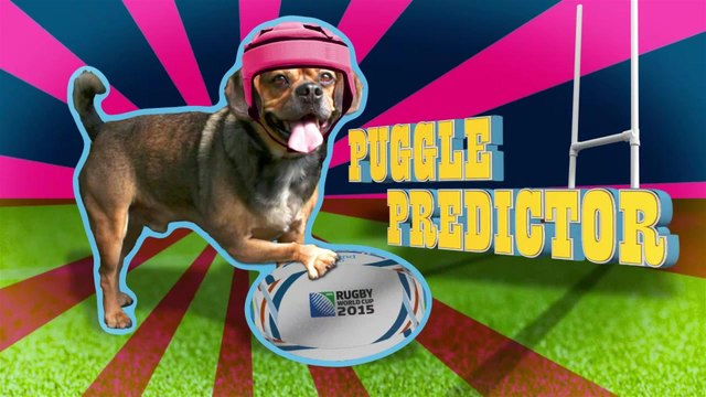 Tonga v Namibia - Rugby World Cup Puggle Predictor
