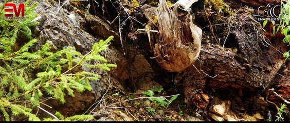 Beautiful Romania With Breathtaking Landscapes  ( 4K )