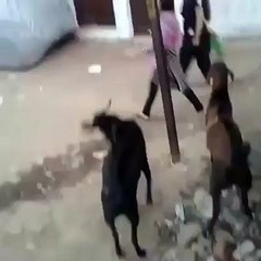 goat hitting girl