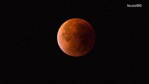The Mormon Church had to remind followers that the Blood Moon wasn't the end of the world