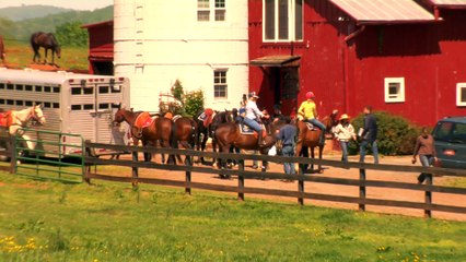 Polo 101: A Guide for Everyone