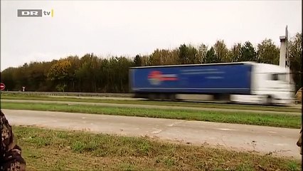 Cet Homme n'aurait JAMAIS du Lâcher son Faucon au bord d'une Nationale