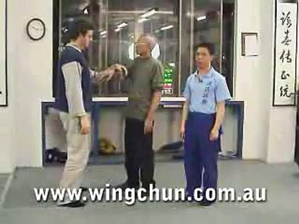 Sigung Chu Shong Tin's Sil Lim Tao #3