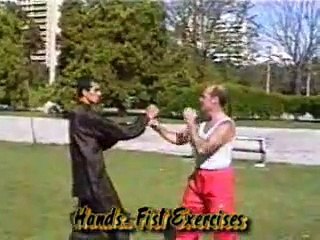 Ving Tsun (Hands - Fists) Exercises