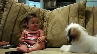 Cute baby angry and laughing when puppy angry