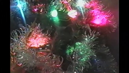 Cats In Christmas Trees  Compilation