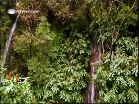 A Alma e a Gente - VIII #05 - Funchal em Lisboa - 31 Jan 2010