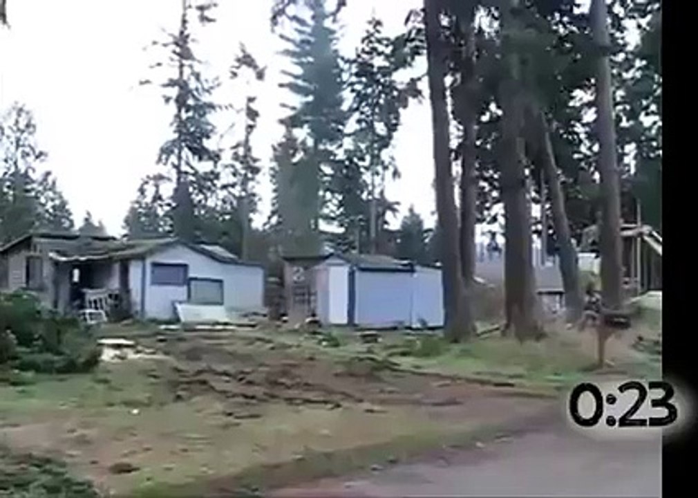 Tree removal gone REAL bad!