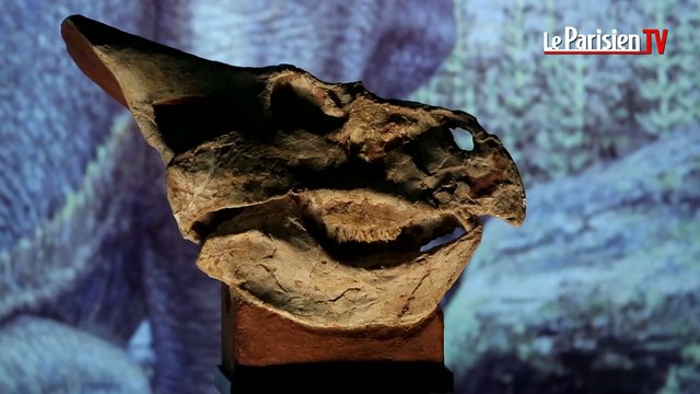 «Autour des Dinosaures» : Jurassic World au Palais de la découverte